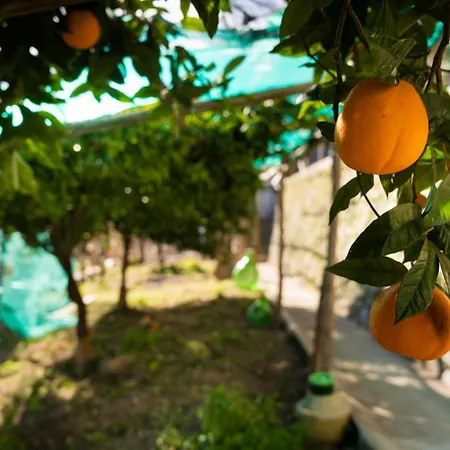 Casa Primula 阿马尔菲
